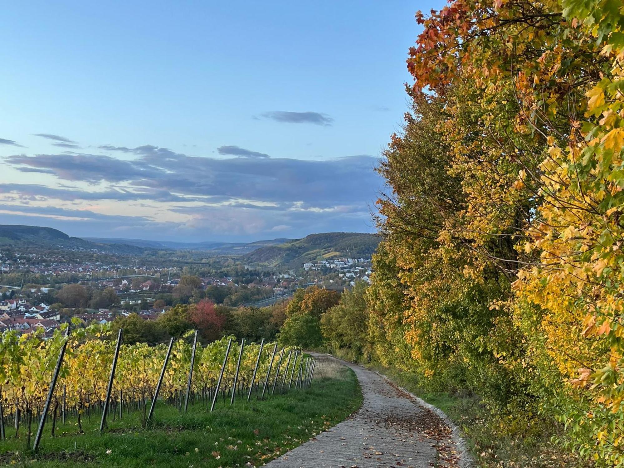 Ferienhaus Weinbergblick - Nahe Wuerzburg - 2 Schlafzimmer - Familienfreundlich - Terrasse Unterleinach Εξωτερικό φωτογραφία